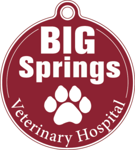 Big Springs Vet LOGO